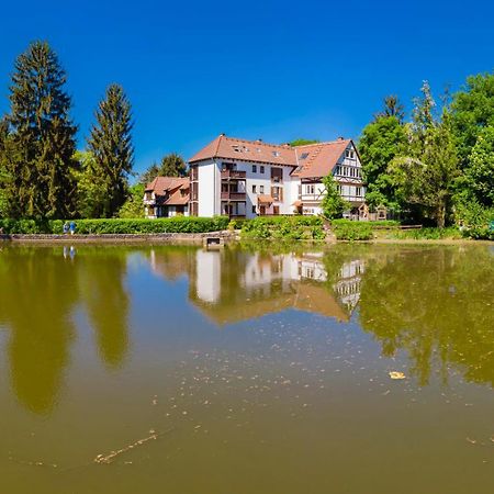 Einliegerwohnung In Einer Muehle Vor Den Toren Frankfurts, Ideal Fuer Messegaeste Oder Stop Over Dreieich Εξωτερικό φωτογραφία