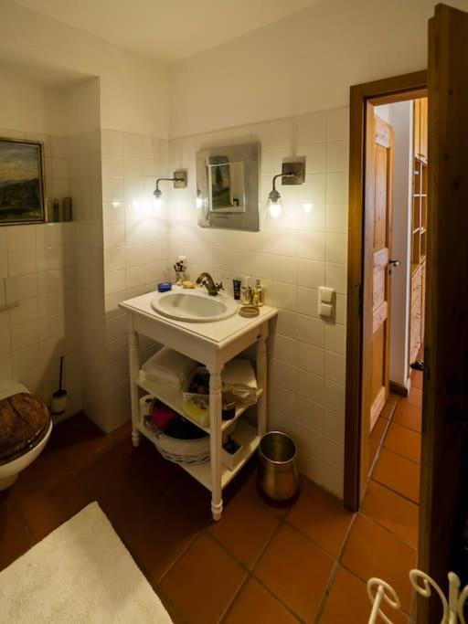 Einliegerwohnung In Einer Muehle Vor Den Toren Frankfurts, Ideal Fuer Messegaeste Oder Stop Over Dreieich Εξωτερικό φωτογραφία