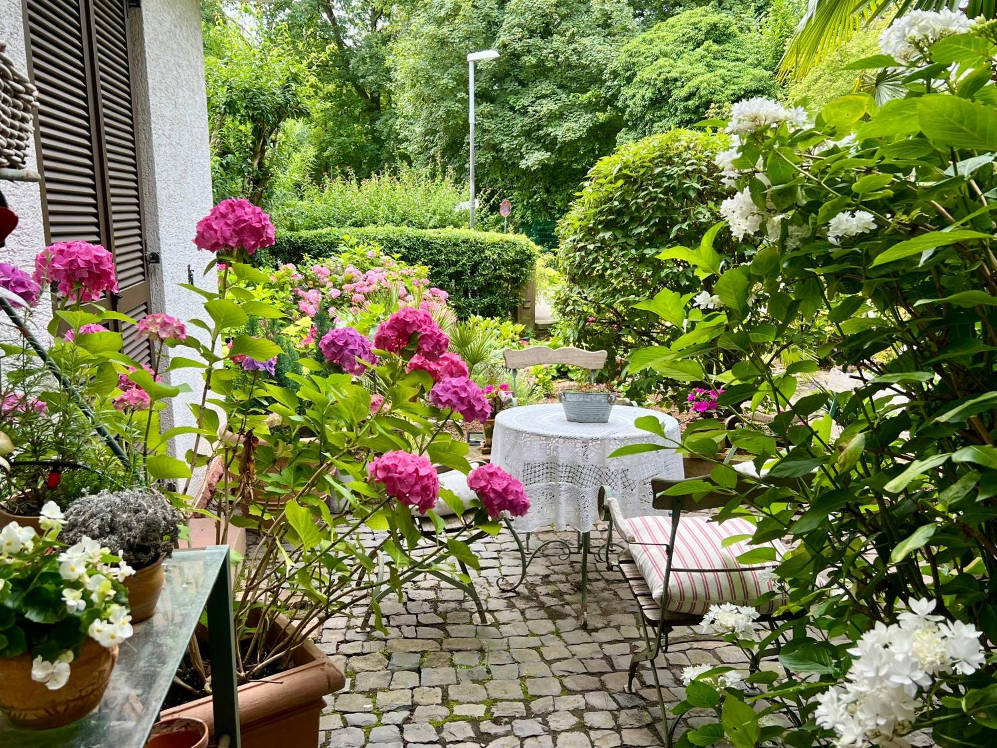 Einliegerwohnung In Einer Muehle Vor Den Toren Frankfurts, Ideal Fuer Messegaeste Oder Stop Over Dreieich Εξωτερικό φωτογραφία