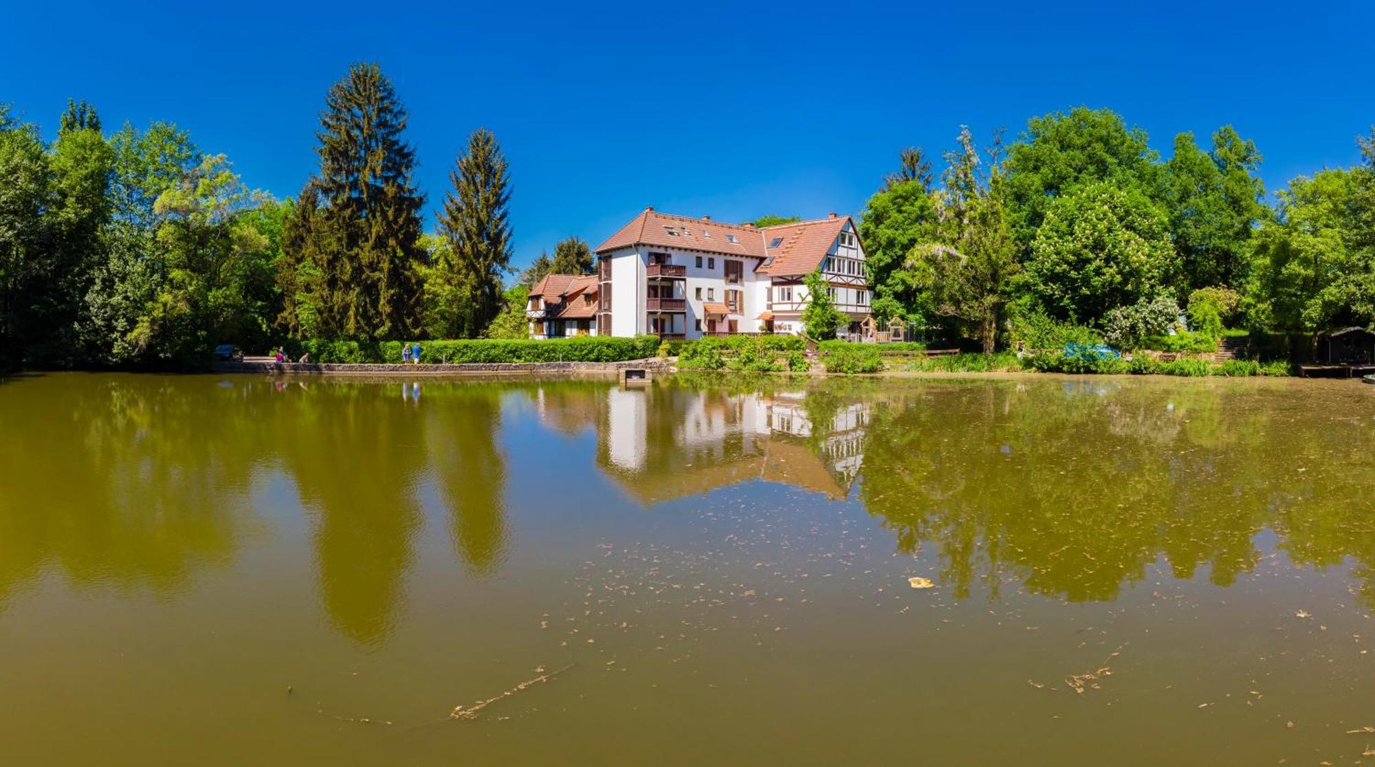 Einliegerwohnung In Einer Muehle Vor Den Toren Frankfurts, Ideal Fuer Messegaeste Oder Stop Over Dreieich Εξωτερικό φωτογραφία