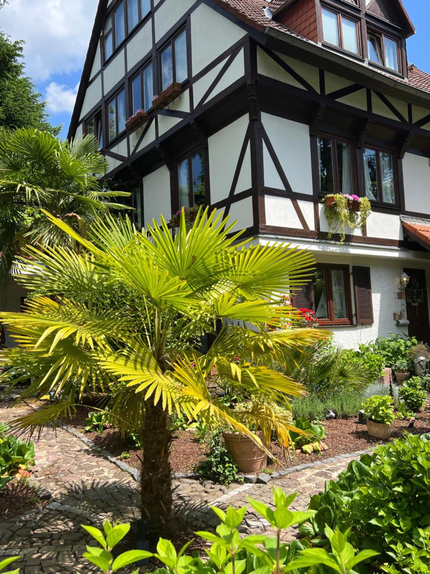 Einliegerwohnung In Einer Muehle Vor Den Toren Frankfurts, Ideal Fuer Messegaeste Oder Stop Over Dreieich Εξωτερικό φωτογραφία